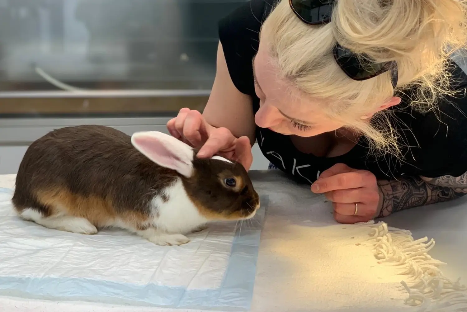 Eine Frau streichelt ein Kaninchen