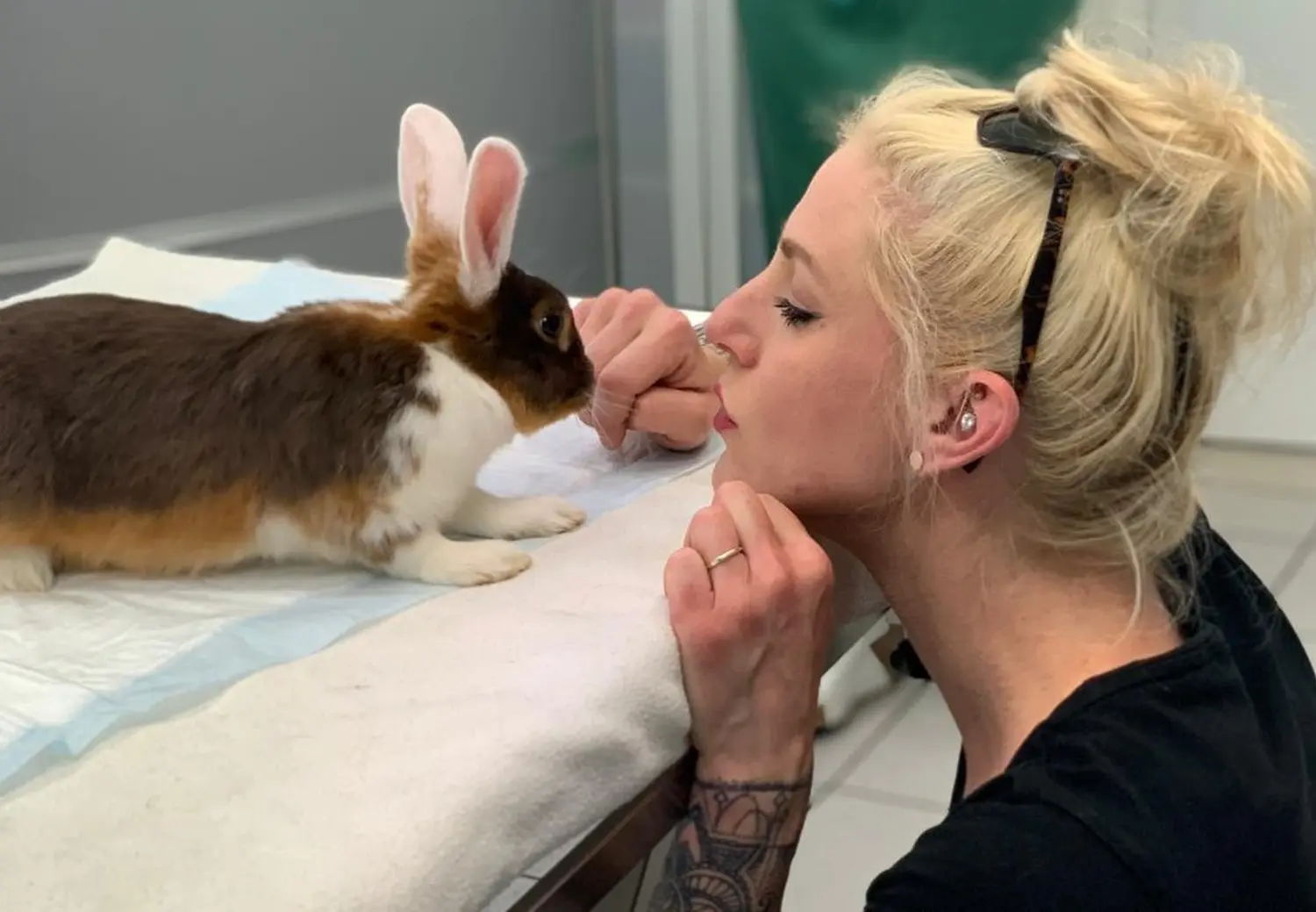 Eine Frau streichelt ein Kaninchen