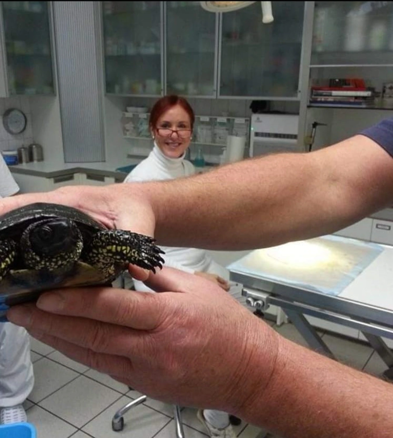 Ein Mann hält eine Schildkröte und eine Ärztin im Rücken