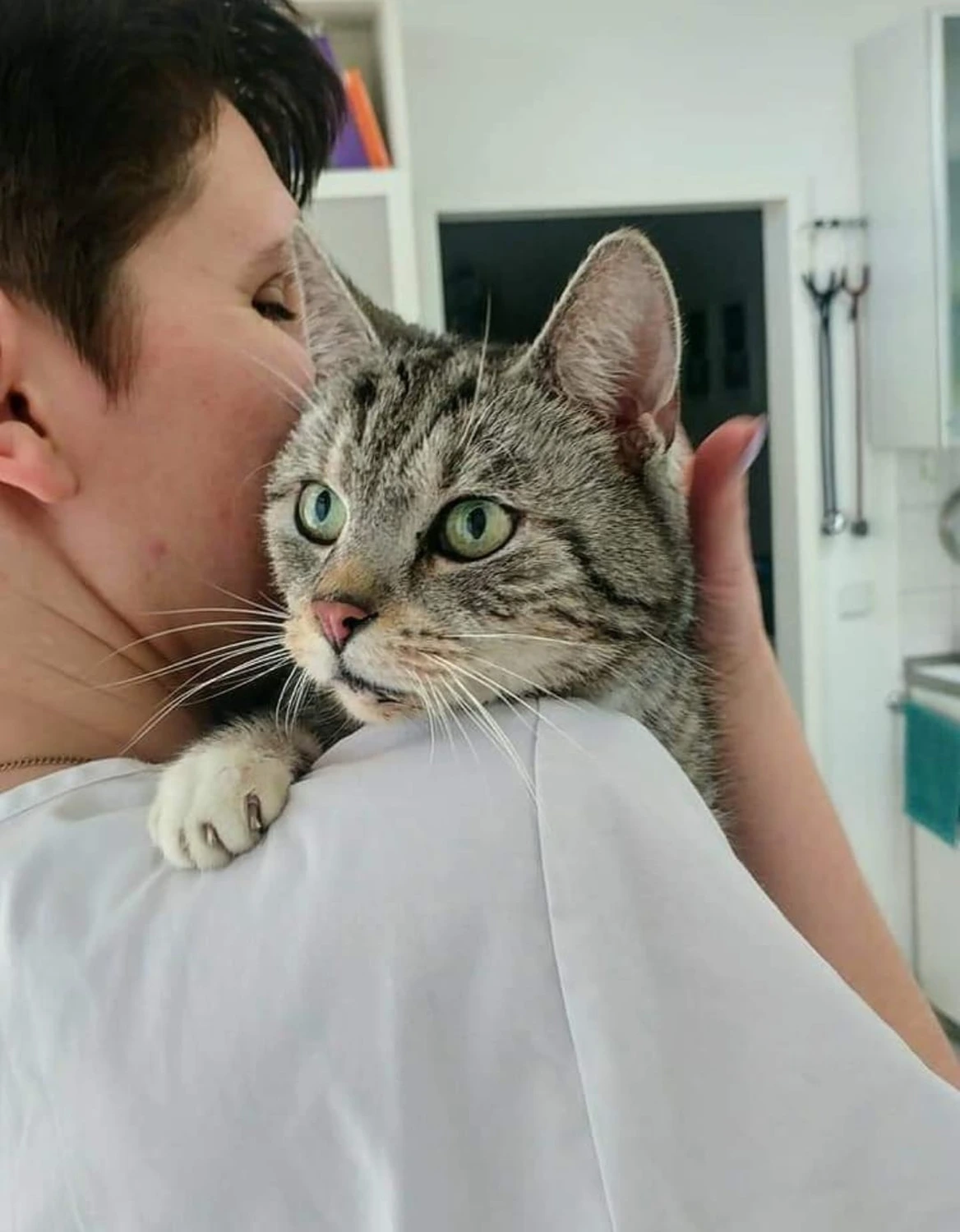 Krankenschwester hält eine Katze auf ihrem Schoß