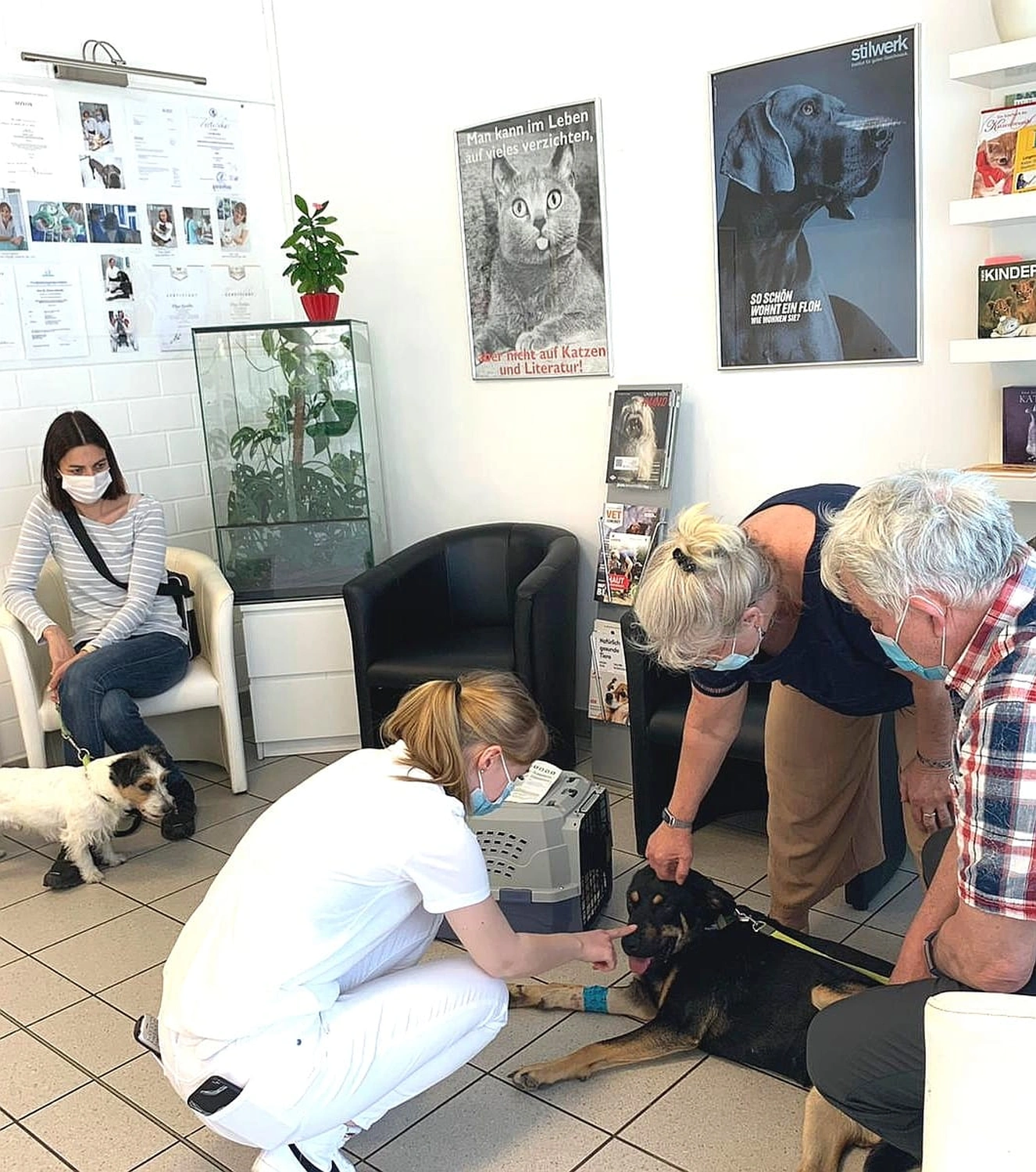 Krankenschwester untersucht einen Hund